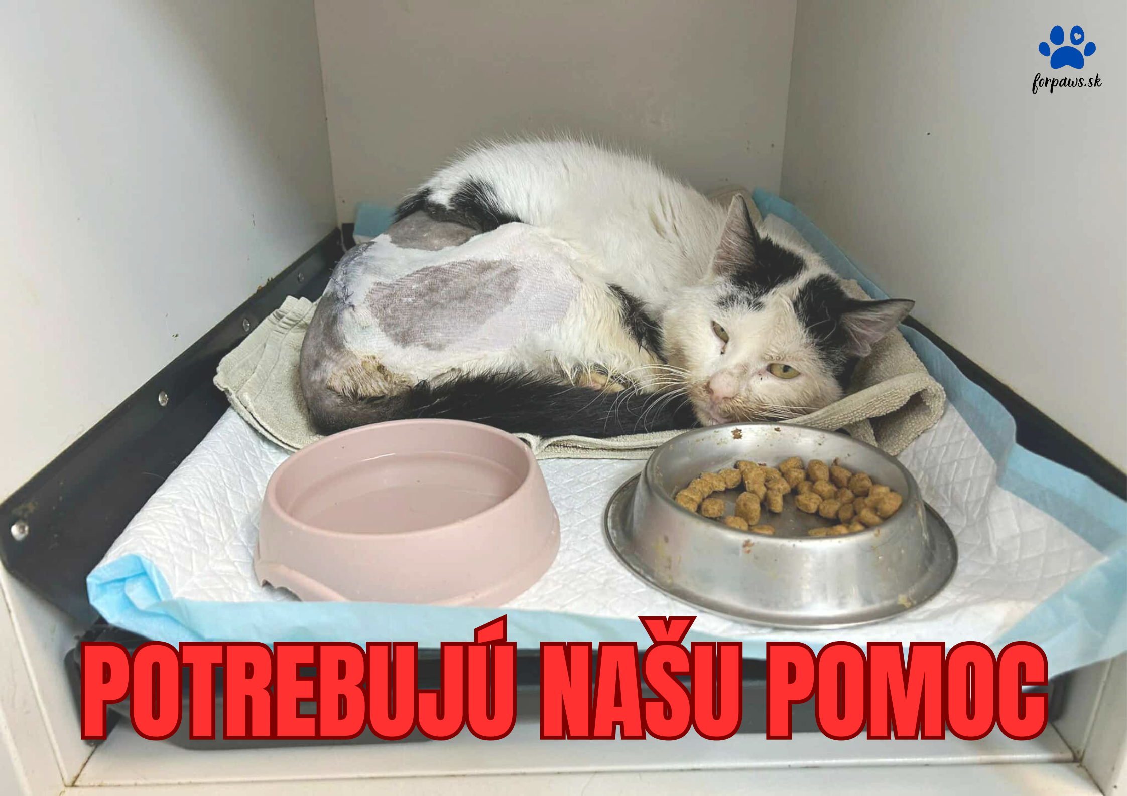POTREBUJÚ NAŠU POMOC